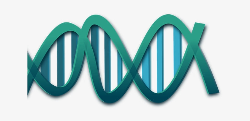 Promising Target In Fight Against Bacteria Biochemistry Principles