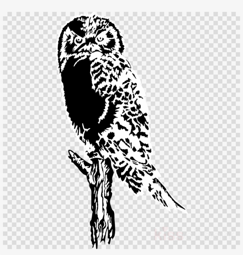 Owl Silhouette Clipart Owl Bird Clip Art Owl Silhouette Free