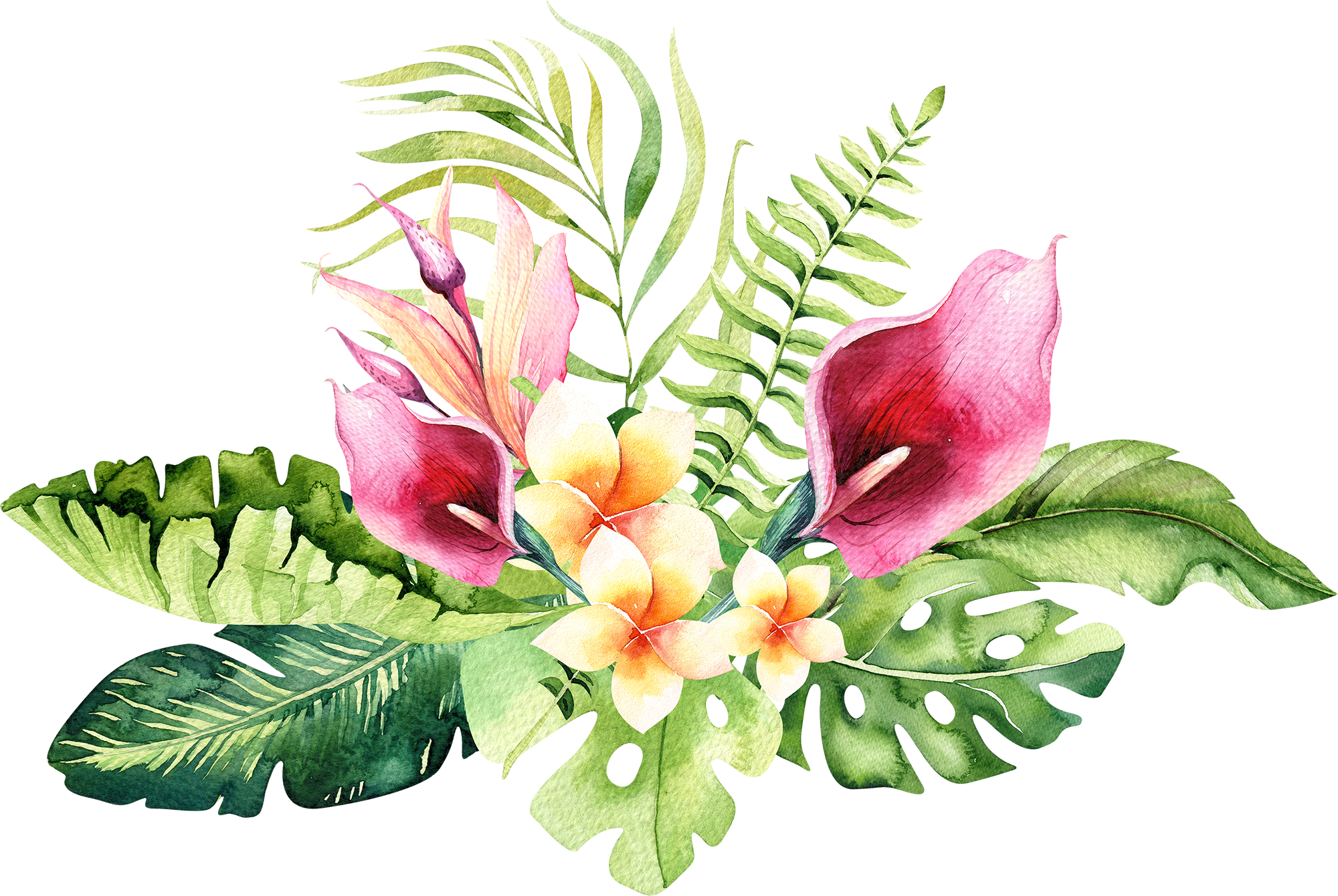 4 Hand Drawn Watercolor Tropical Flower Free Transparent PNG