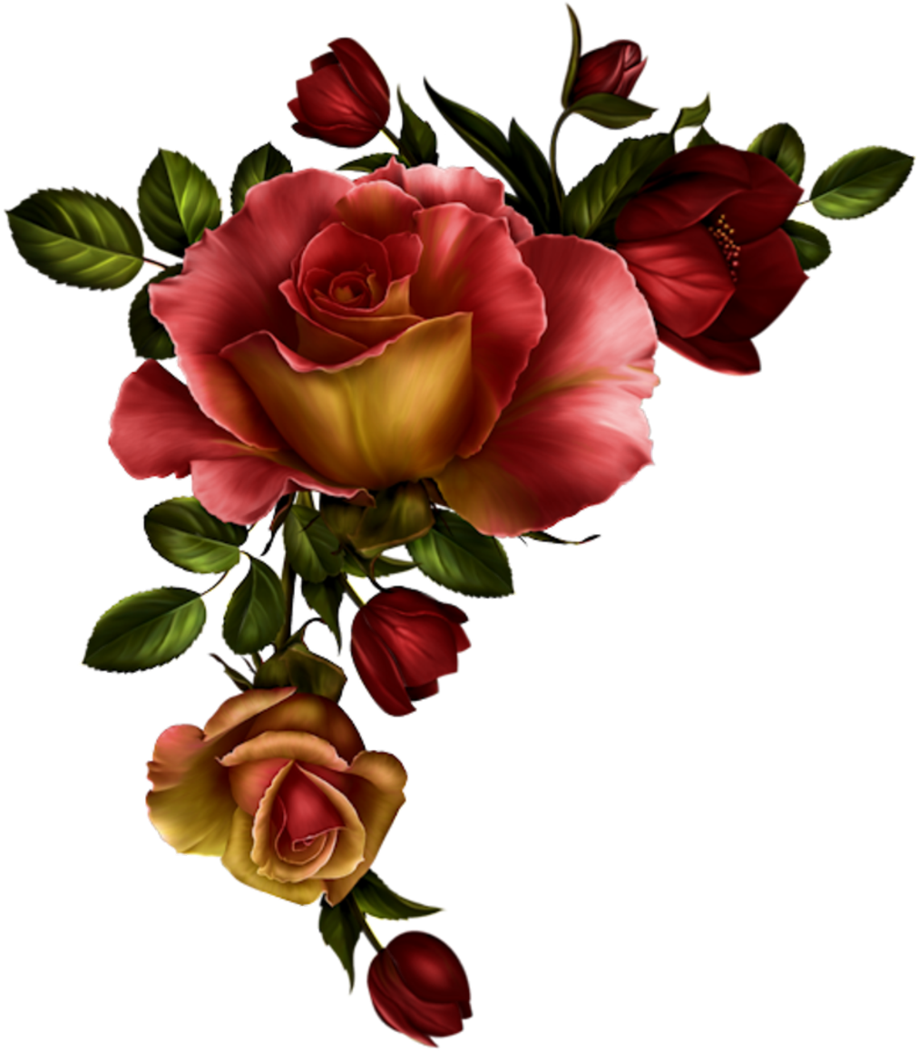 Red Rose Clipart Divider Watercolor Red Flowers Png Free