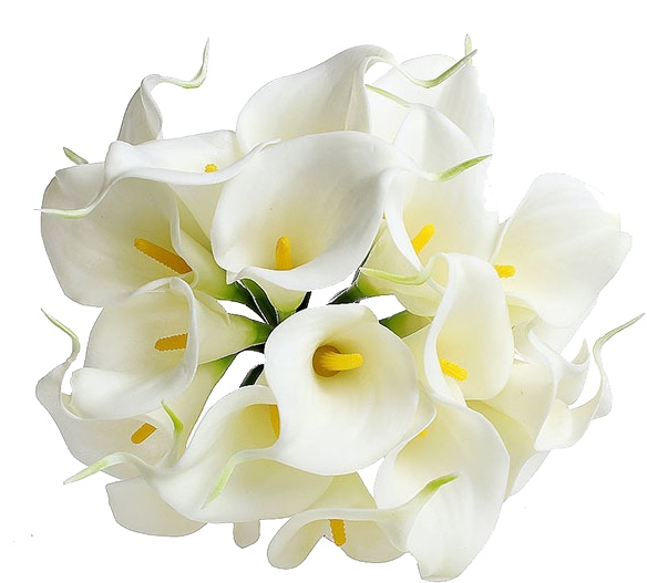 Calla Png Transparent Image Sodial Calla Lily Bridal Wedding Bouquet