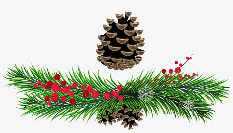 Visit - Pine - Free Transparent PNG Download - PNGkey