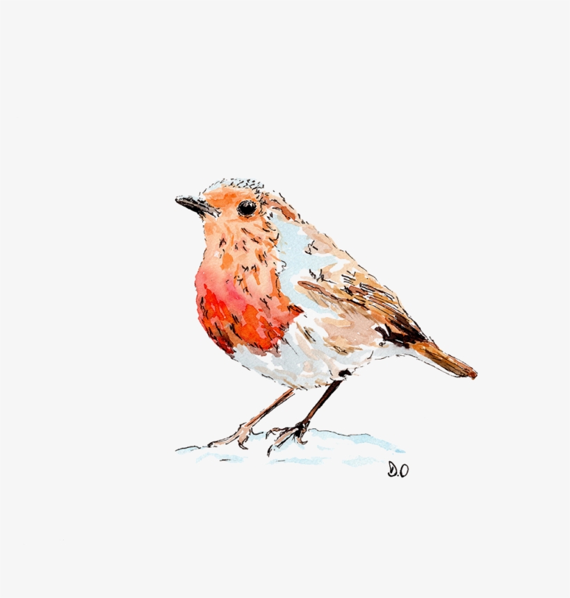 European Robin Drawing Paper Bird Watercolor Painting - Watercolor Painting, transparent png #10795