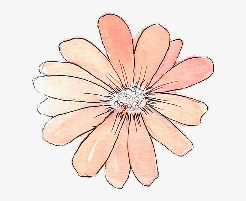 Tumblr Drawing Watercolor Peach Flower - Flower Stickers Tumblr