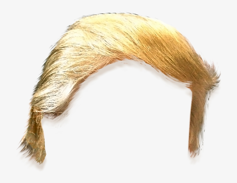 Donald Trump Hair Cut Out - Free Transparent PNG Download - PNGkey