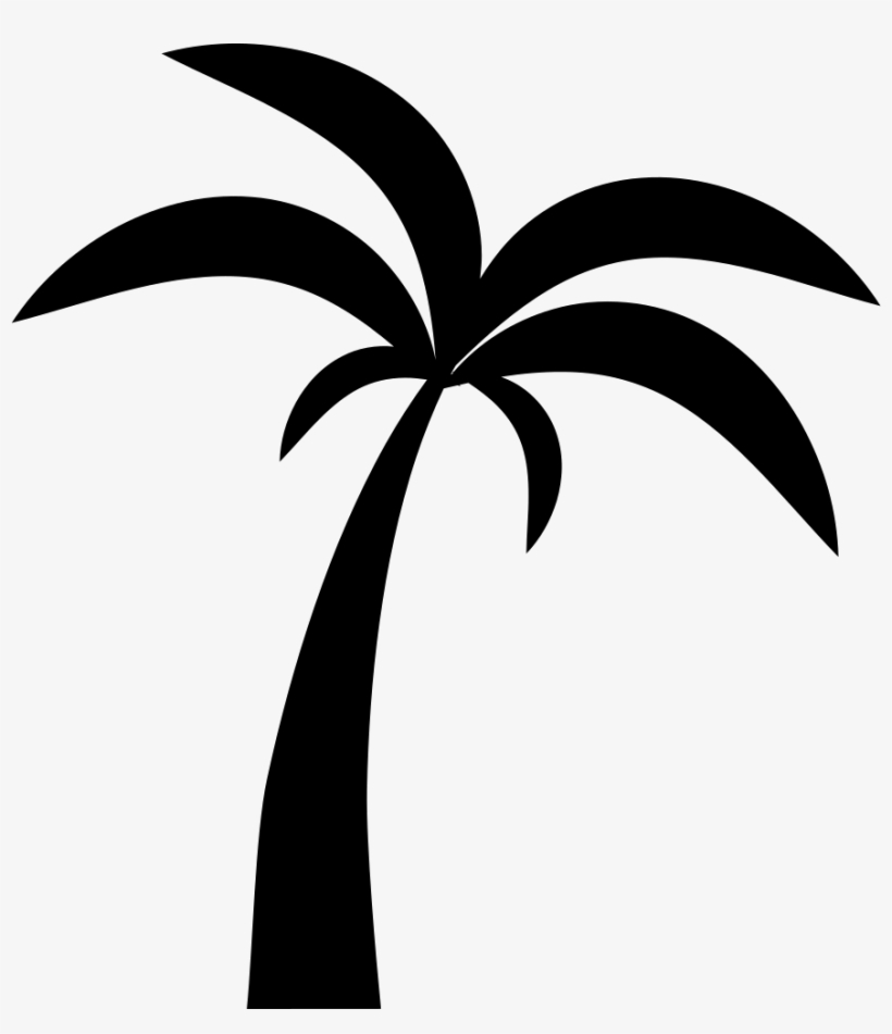 palm tree vector png