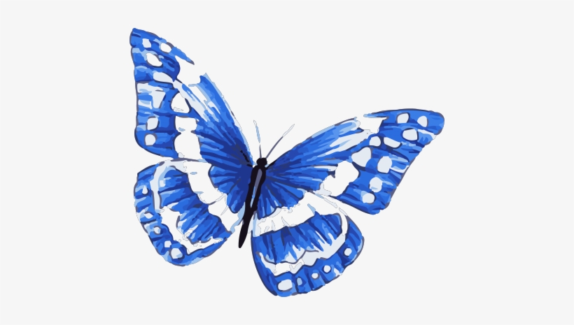 30 Clip Art Of A Blue Butterfly Tattoo Designs Illustrations RoyaltyFree  Vector Graphics  Clip Art  iStock
