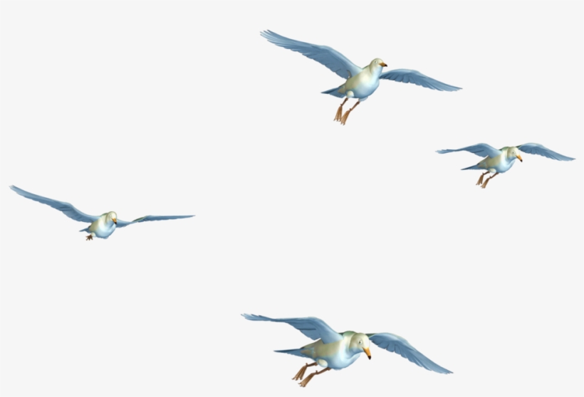 Flying Birds 07 Png Stock By Roys-art On Clipart Library - Flying Birds Images Png, transparent png #15162