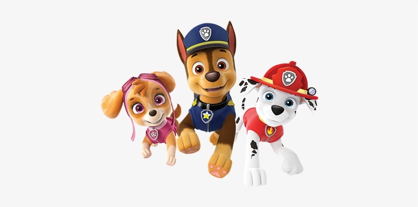 Zuma Paw Patrol Clipart Png Vector Freeuse - Paw Patrol - Zuma Action Pack  Pup And Badge - Free Transparent PNG Download - PNGkey