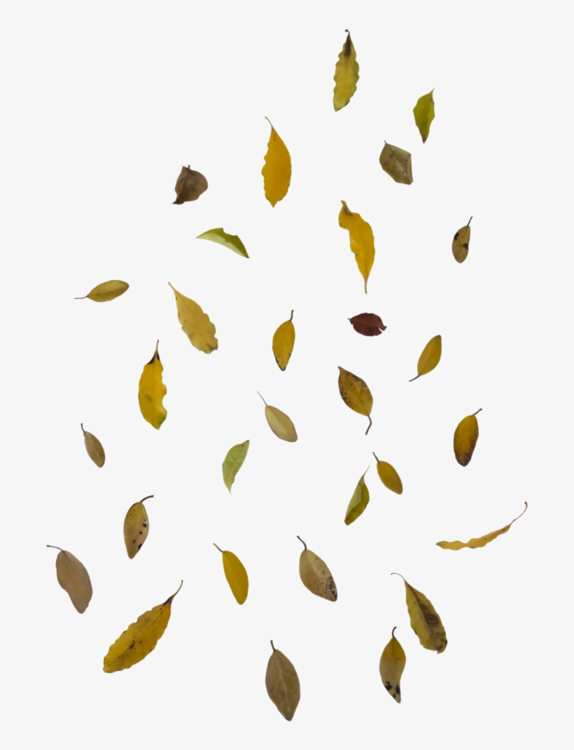 Falling Leaf Overlay - Falling Leaf Overlay Png, transparent png #106376