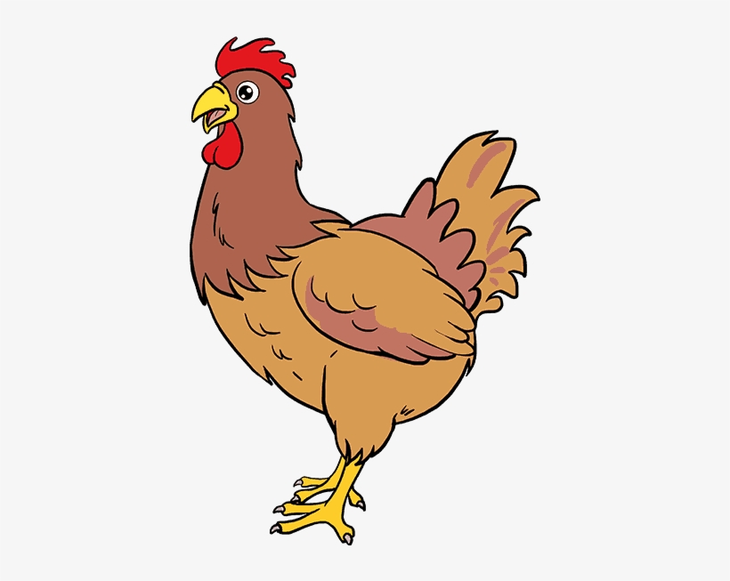How To Draw Chicken - Brahma Chicken In Clipart - Free Transparent PNG ...