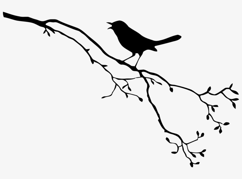 Download S/1232809298, Birds On The Branches - Bird On Branch ...