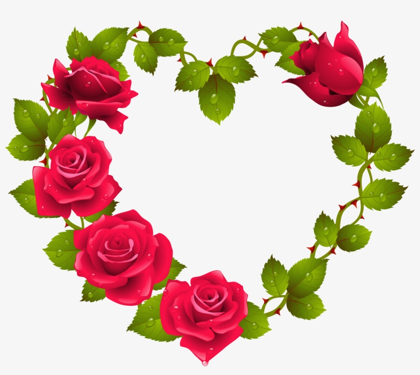 Marcos Rosas Rojas Png Beautiful Rose Pictures Download Free