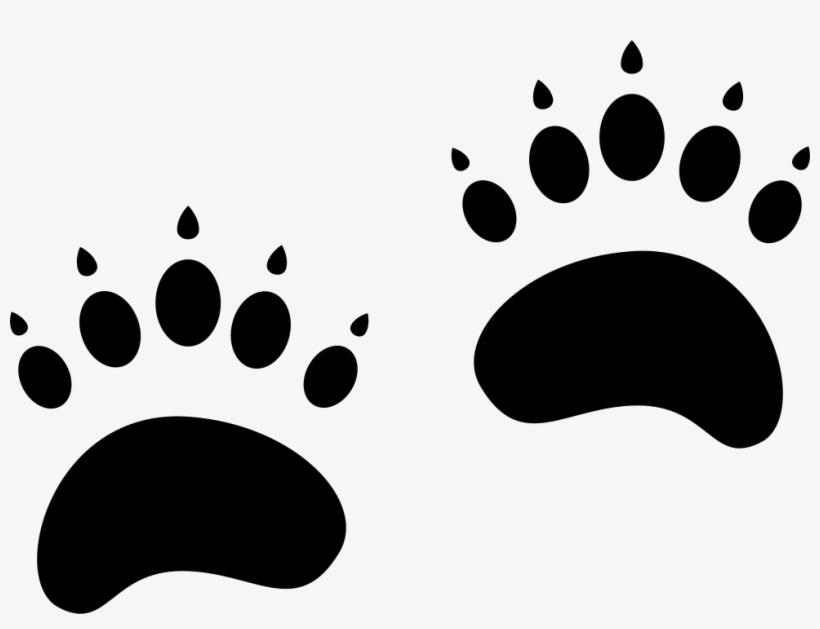 Pawprints Comments くま 足跡 イラスト フリー Free Transparent Png Download Pngkey