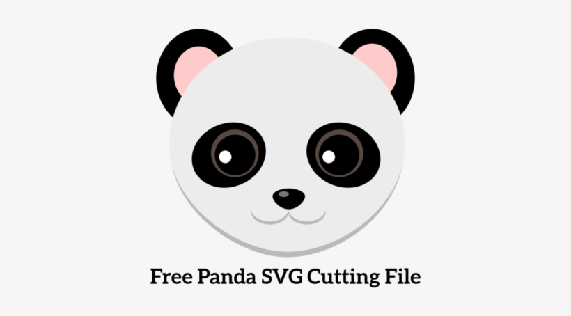 Download Free Panda Svg Panda Svg Free Transparent Png Download Pngkey