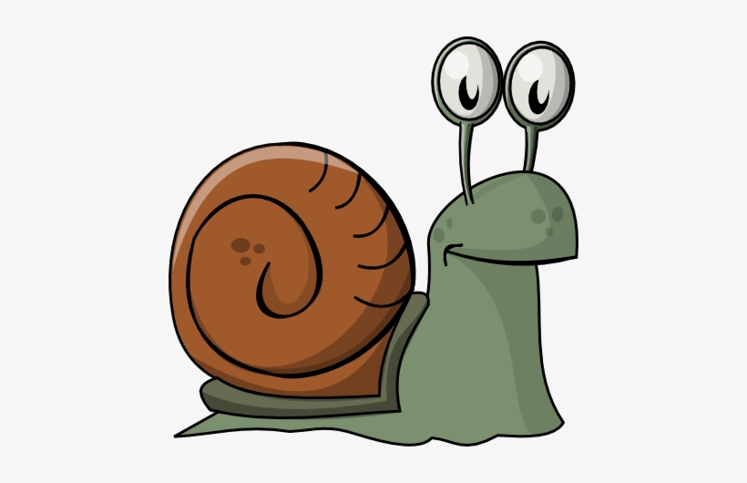 Snail - Snail Clip Art - Free Transparent PNG Download - PNGkey