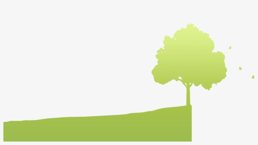 Planting & Tree Care - Boom - Free Transparent PNG Download - PNGkey