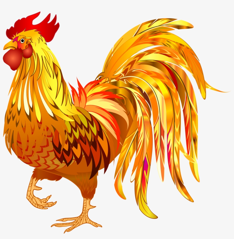 Rooster Png - Free Transparent PNG Download - PNGkey