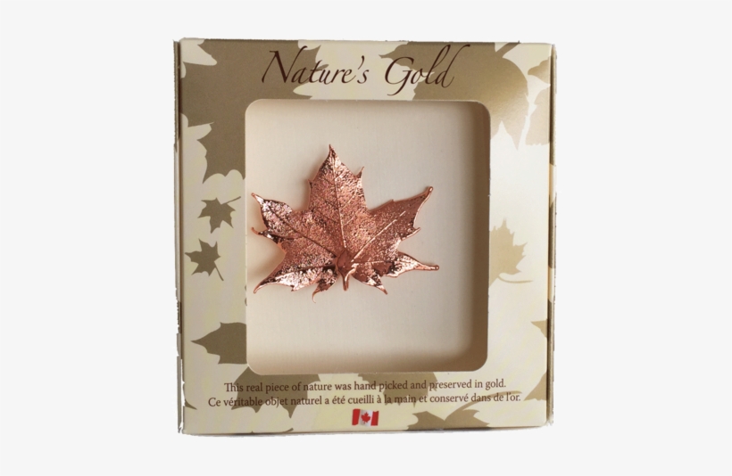 Maple Leaf Brooch - Bronze Canadian Maple Leaf Brooches, transparent png #1039459