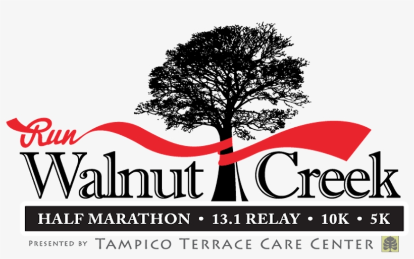 Walnut Creek Half Marathon - Thank You... (from Patient) Card, transparent png #1063122