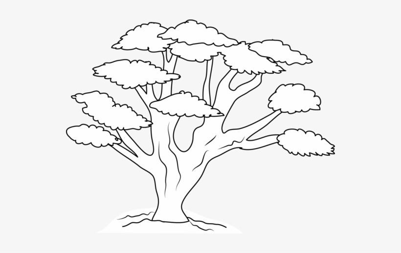 free tree clipart black and white