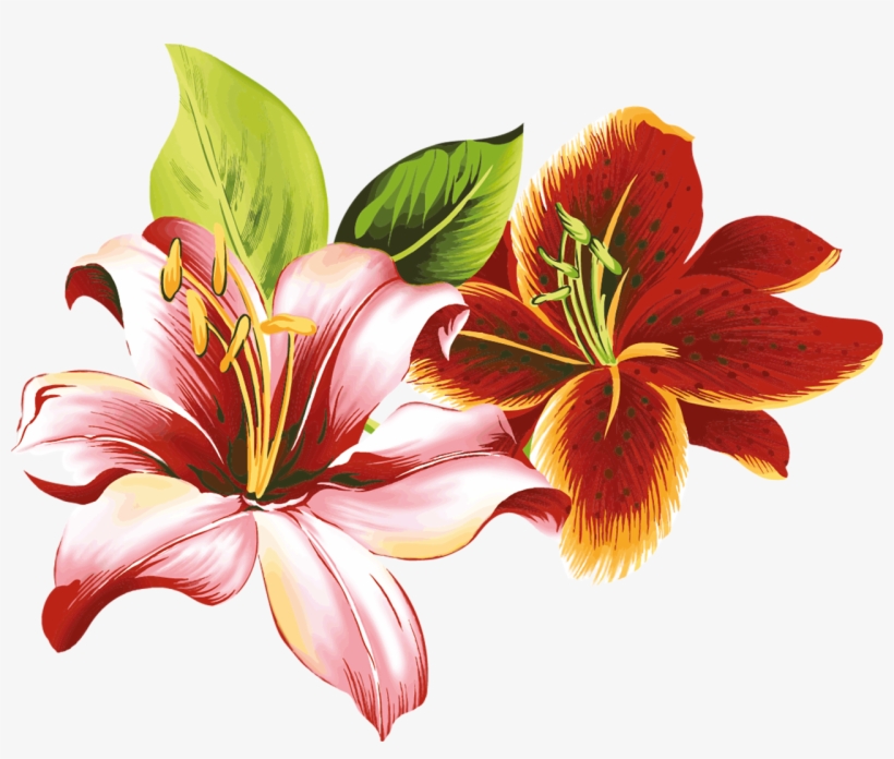 Flores Vectoriales Con Fondo Transparente - Fleur De Lili - Free  Transparent PNG Download - PNGkey