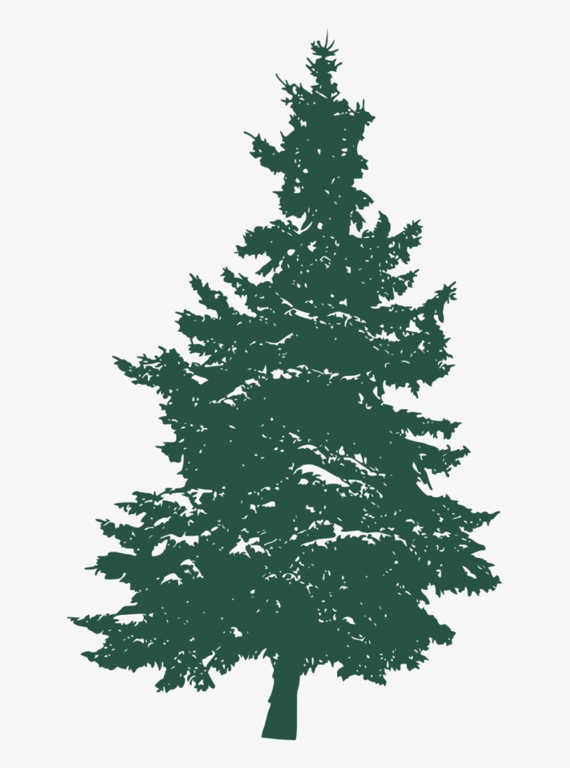 Pine Tree Silhouette 3 1 - Pine Tree Silhouette On White, transparent png #1087354