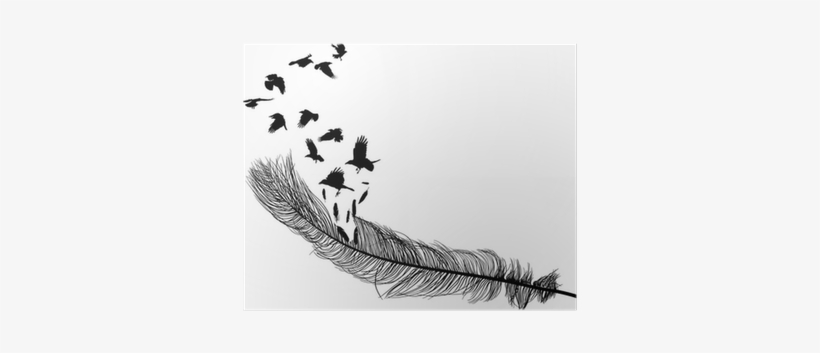 Crows Flying From Long Feather Silhouette On White - Illustration, transparent png #1090792