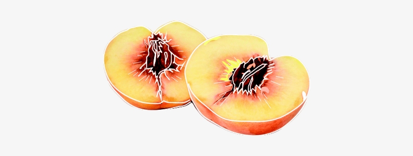 Peach Halves - Fruit Tumblr Png, transparent png #114814