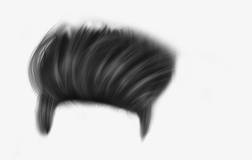 Sample Hair For Boy 23 Cb Hair Style Png  Png Hair Style Download   4167x2889 PNG Download  PNGkit
