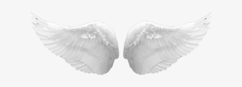 Stores Soundscapes - Angel Wings Png Real - Free Transparent PNG ...