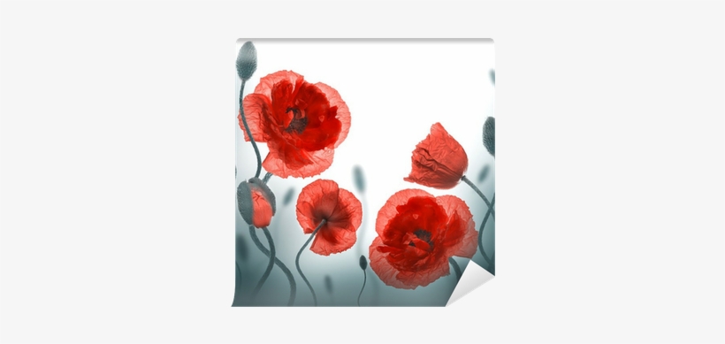 File Img, Poppy Field - Blessed New Week Messages, transparent png #1161145