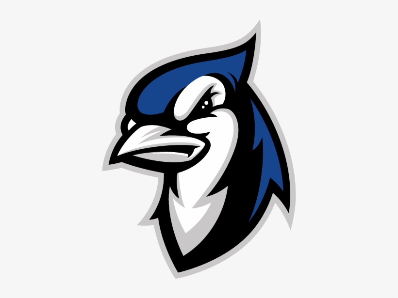 Identity Branding Logo And Character Development Elizabethtown College Blue Jays Free Transparent Png Download Pngkey