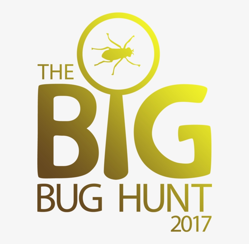 Flathead Farmworks - Bug Hunt - Free Transparent PNG Download - PNGkey