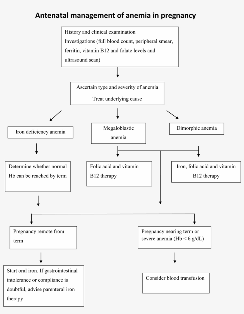 Effects Of Anemia In Pregnancy - Management Of Anaemia In Pregnancy ...