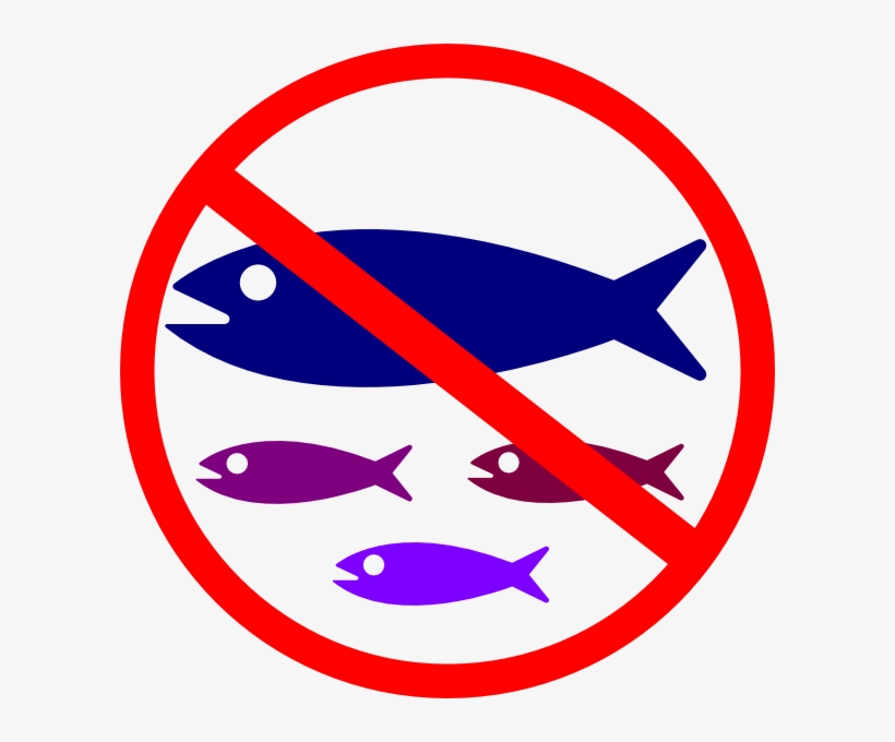 No Fish - Free Transparent PNG Download - PNGkey