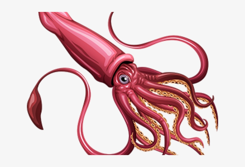 Squid Reference - Free Transparent PNG Download - PNGkey