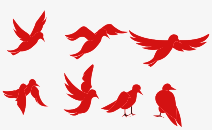 Animation Of A Silhouette Of A Bird On A White Background - Red Bird Flying  Png - Free Transparent PNG Download - PNGkey