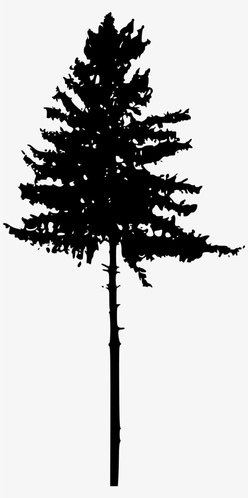 Free Download - Tree Silhouette Png - Free Transparent PNG Download ...