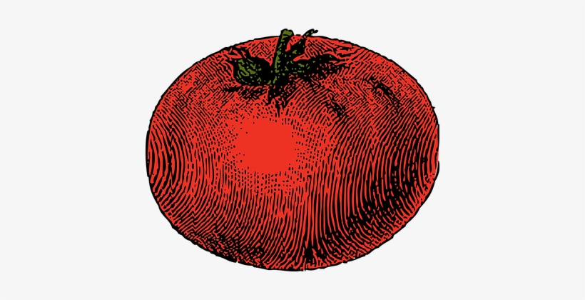 Tomato Vegetable Red Tomato Tomato Tomato - Tomato Clip Art, transparent png #134686