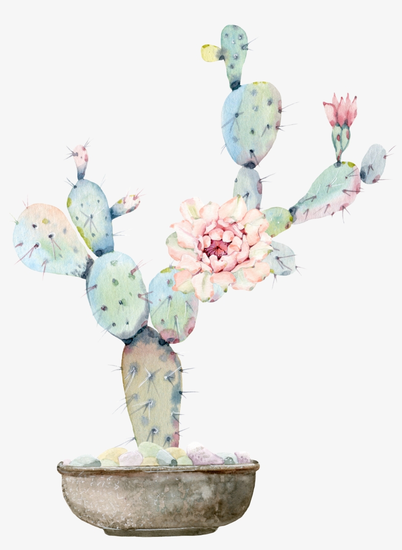 Watercolour Flowers Watercolor Painting Cactaceae Drawing - Cactus And Flower Watercolor, transparent png #138002