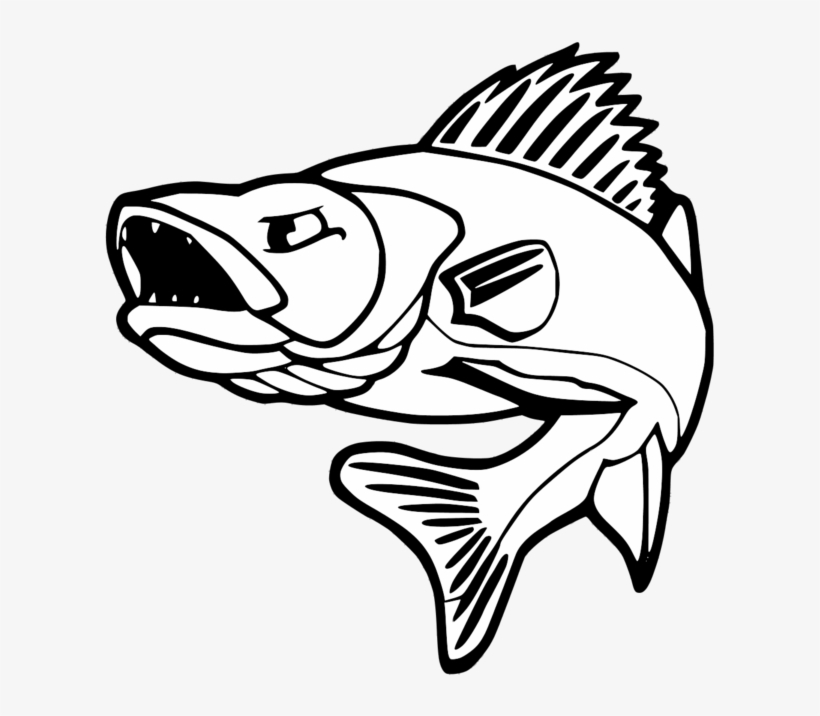 Free Free 272 Fishing Svg Black And White SVG PNG EPS DXF File