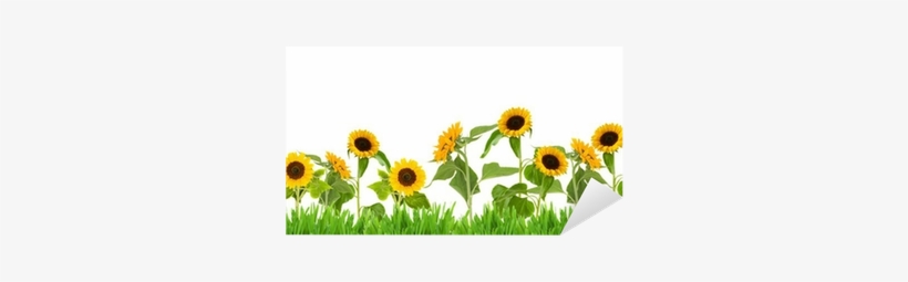 Sun Flower Garden Clip Art - Free Transparent PNG Download - PNGkey