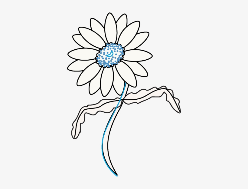 How To Draw Daisy Flower - Daisy Draw Out Flower, transparent png #1388963