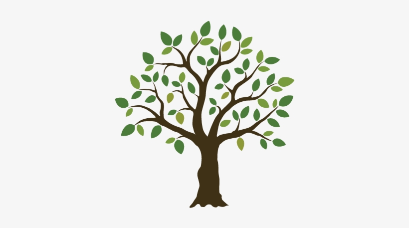 Logo Tree Png - Tree Illustration - Free Transparent PNG Download - PNGkey