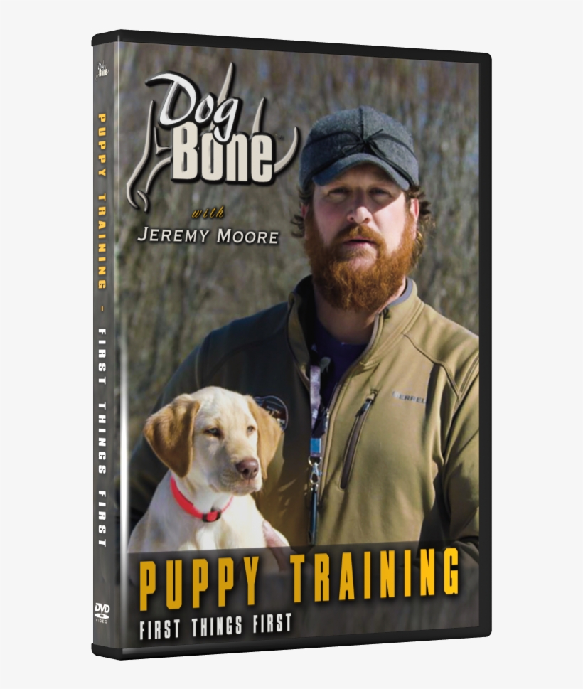 07 Puppy Dvd Front Transparent - Beagle, transparent png #1457454
