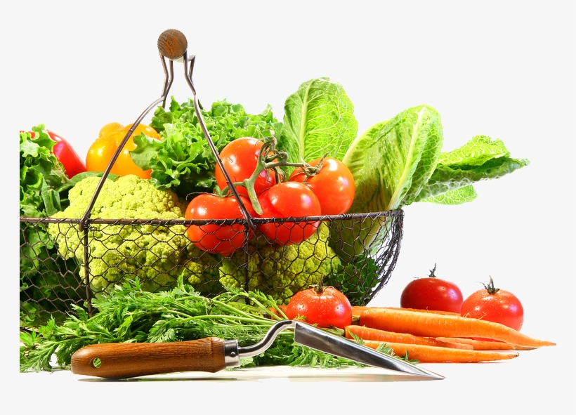 Vegetable Png Image - Vegetable - Free Transparent PNG Download - PNGkey