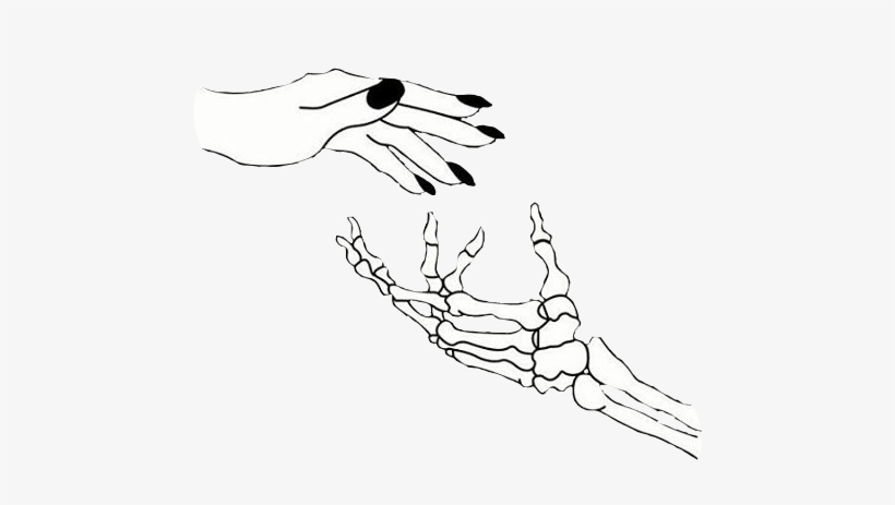 skeleton hand sketch tumblr