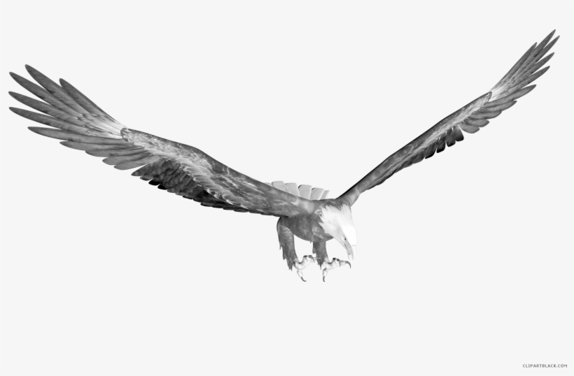 Eagle Clipart Black And White Free