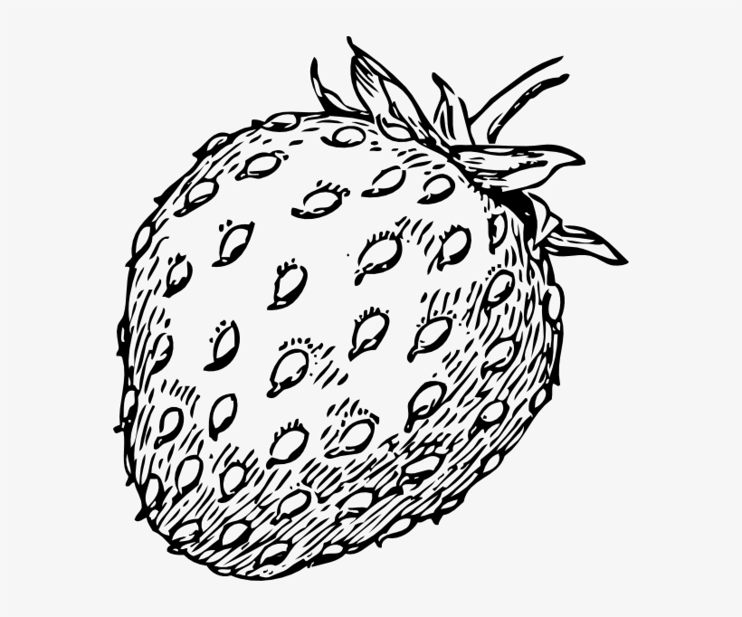 strawberry clip art black and white
